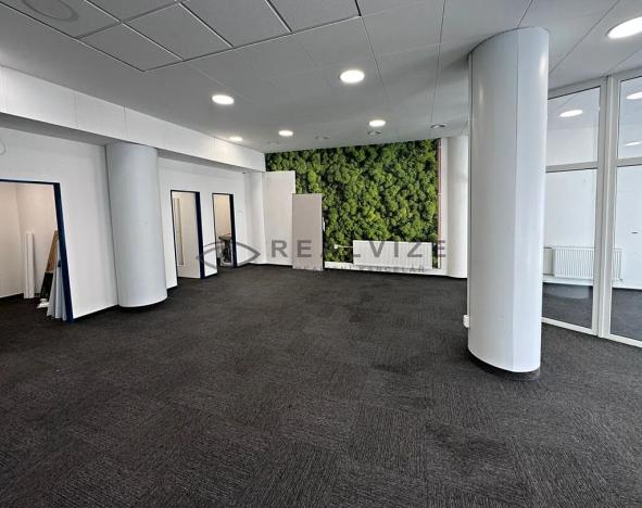 Pronájem obchodního prostoru, České Budějovice, Žižkova tř., 147 m2