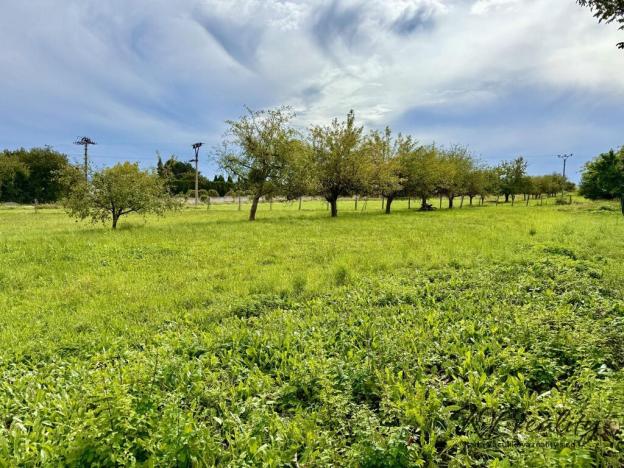 Prodej pozemku pro bydlení, Dřevohostice, Sadová, 2219 m2