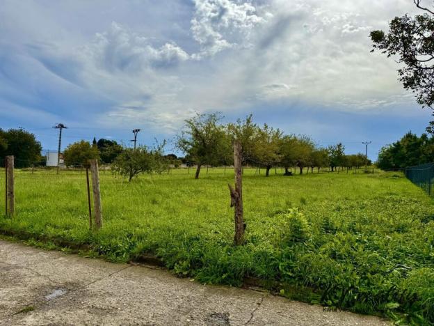 Prodej pozemku pro bydlení, Dřevohostice, Sadová, 2219 m2