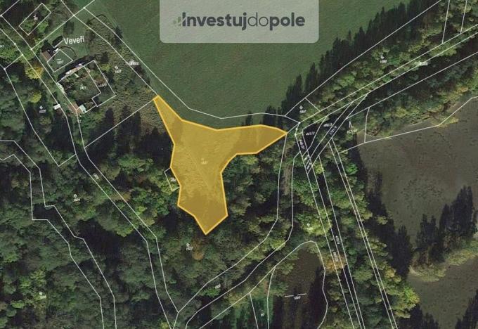 Prodej louky, Nové Hrady - Veveří, 3100 m2