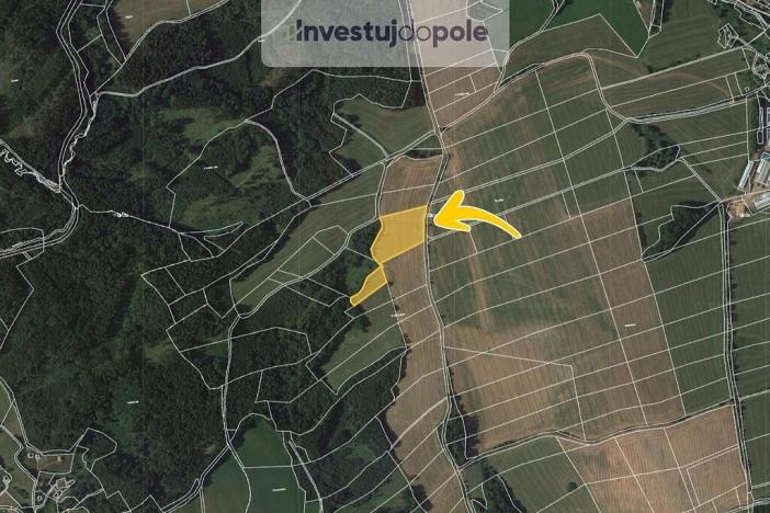 Prodej pole, Úbislavice, 15205 m2