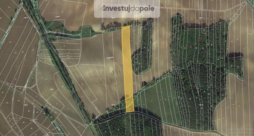 Prodej pole, Krupá, 13338 m2