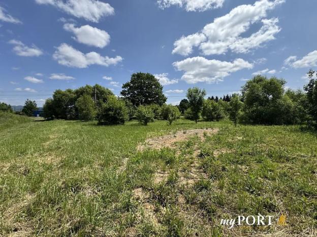 Prodej pozemku pro bydlení, Jenišov, 1294 m2