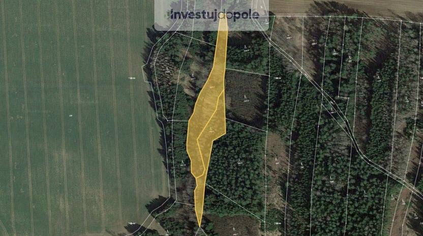 Prodej pozemku, Hlasivo, 6561 m2