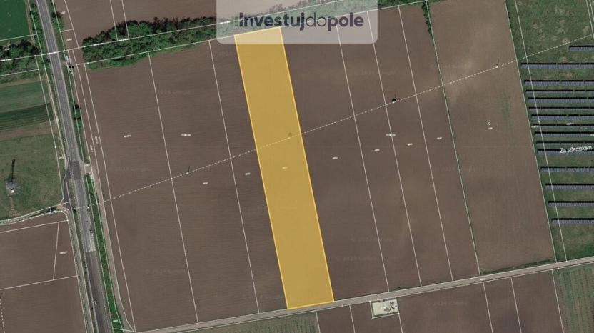 Prodej pole, Horní Věstonice, 12397 m2