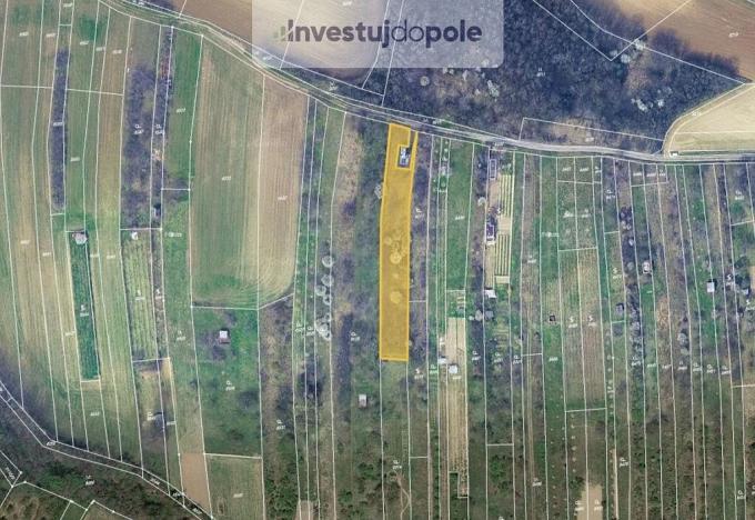 Prodej louky, Klobouky u Brna, 1680 m2