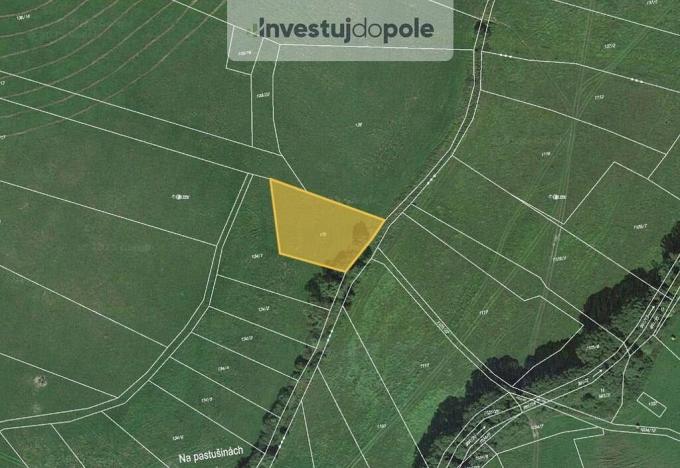 Prodej pole, Neurazy - Nová Ves u Nepomuka, 1677 m2