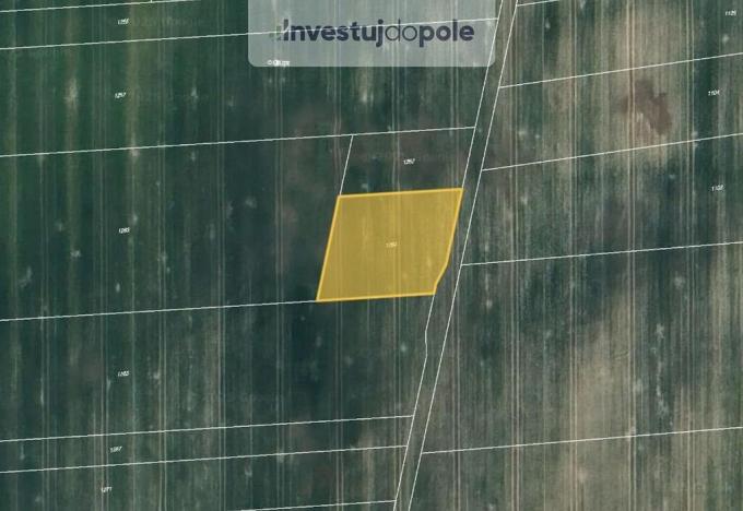 Prodej pole, Štíhlice, 1043 m2