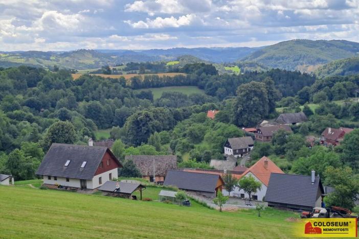 Prodej lesa, Dalečín - Hluboké, 20371 m2