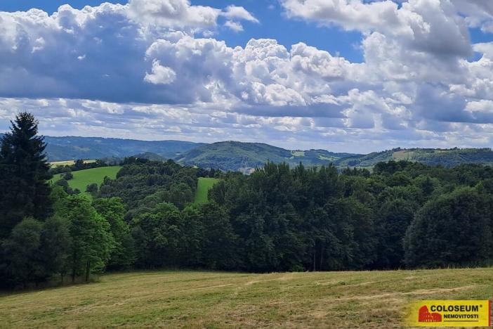 Prodej lesa, Dalečín - Hluboké, 20371 m2