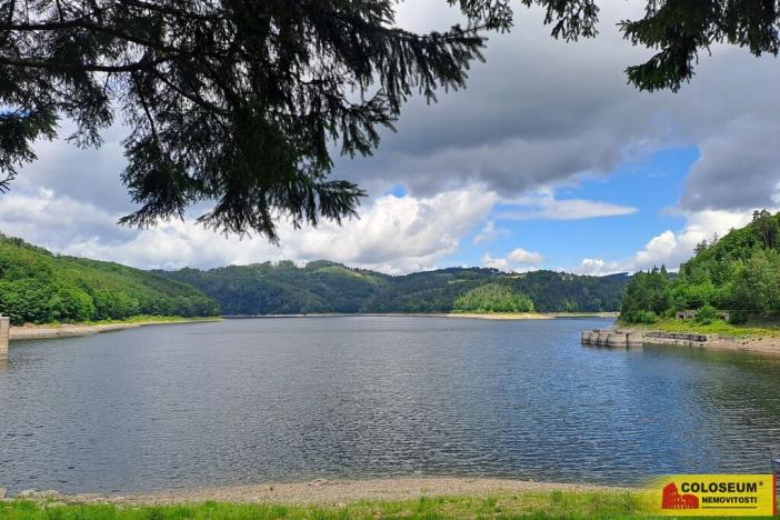 Prodej lesa, Dalečín - Hluboké, 20371 m2