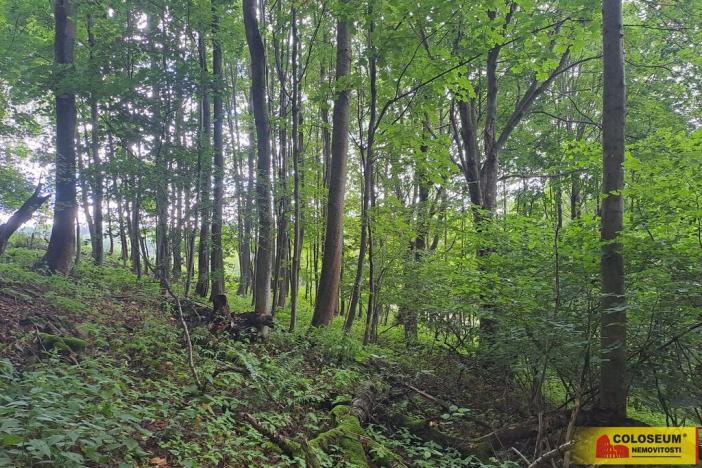 Prodej lesa, Dalečín - Hluboké, 20371 m2
