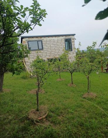 Prodej chaty, Slavkov u Brna, Husova, 92 m2