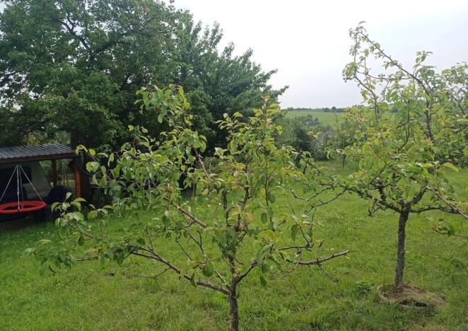 Prodej chaty, Slavkov u Brna, Husova, 92 m2