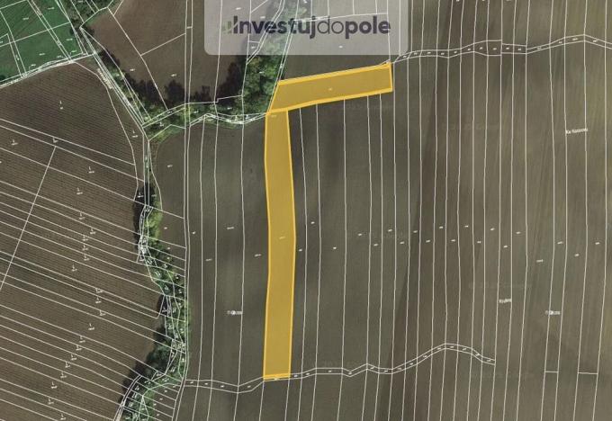 Prodej pole, Mutějovice, 8758 m2