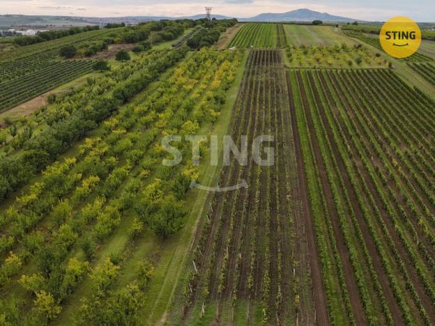 Prodej sadu/vinice, Velké Pavlovice, 5412 m2