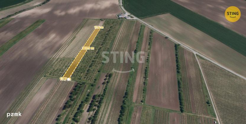 Prodej sadu/vinice, Velké Pavlovice, 5412 m2