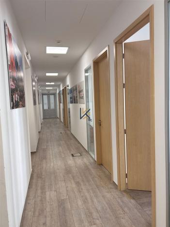 Pronájem kanceláře, Praha, Spálená, 406 m2