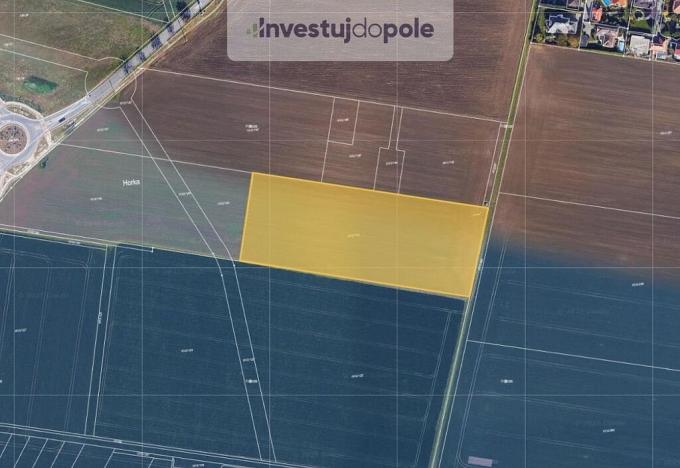 Prodej pole, Moravany, 12960 m2