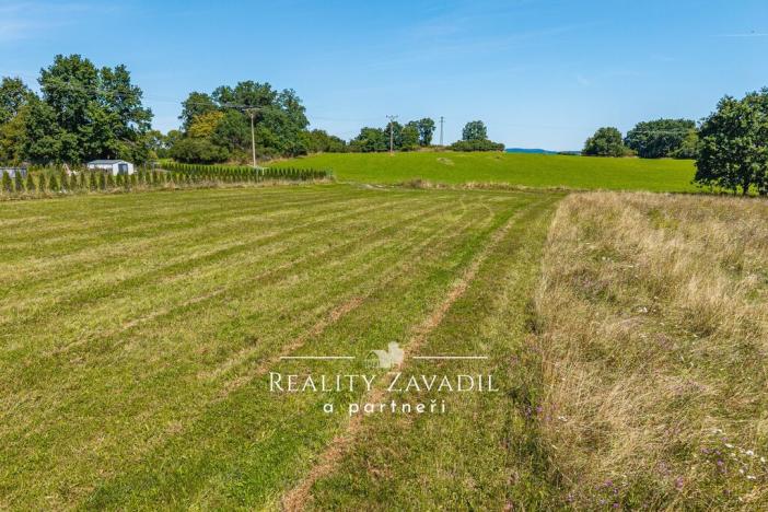 Prodej pozemku pro bydlení, Netvořice - Dunávice, 2291 m2