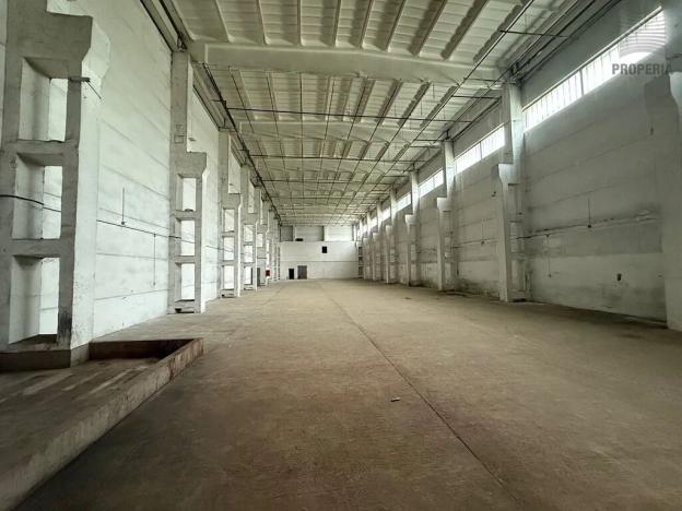 Prodej obchodního prostoru, Brno, Trnkova, 1912 m2