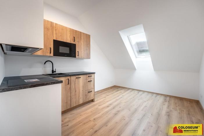 Pronájem bytu 1+kk, Brno - Husovice, 49 m2