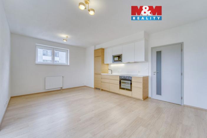 Pronájem bytu 1+kk, Heřmanova Huť - Vlkýš, U Pondu, 34 m2