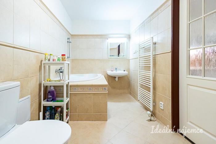 Pronájem bytu 1+kk, Praha - Vinohrady, Mánesova, 63 m2