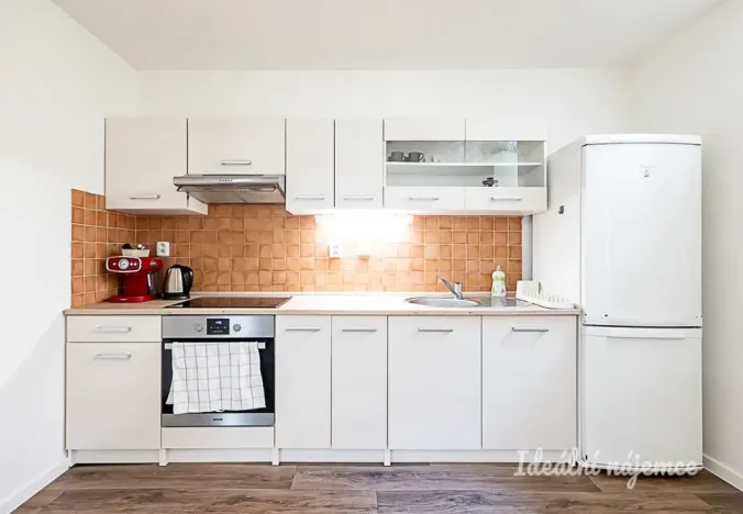 Pronájem bytu 1+kk, Praha - Vinohrady, Mánesova, 63 m2