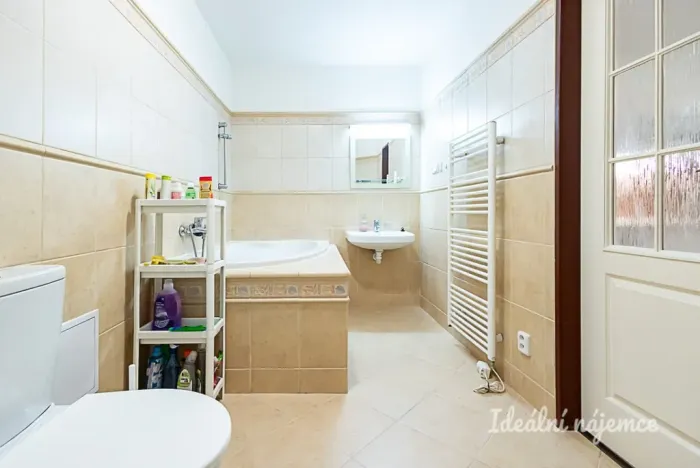 Pronájem bytu 1+kk, Praha - Vinohrady, Mánesova, 63 m2