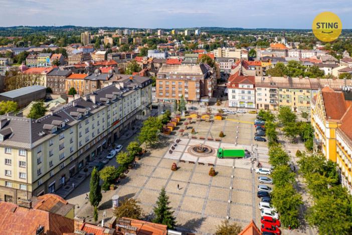 Prodej obchodního prostoru, Český Těšín, Smetanova, 1400 m2