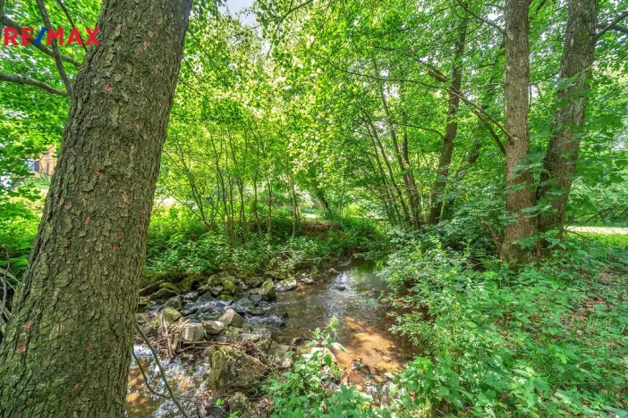 Prodej chalupy, Vysoká Srbská, 900 m2