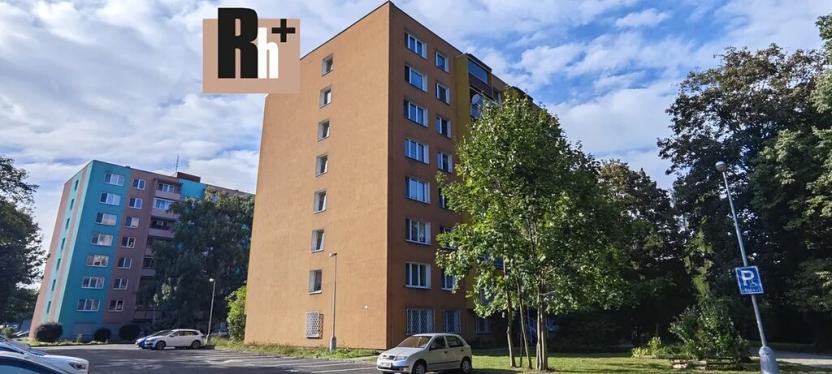 Pronájem bytu 1+kk, Ostrava, U Parku, 25 m2