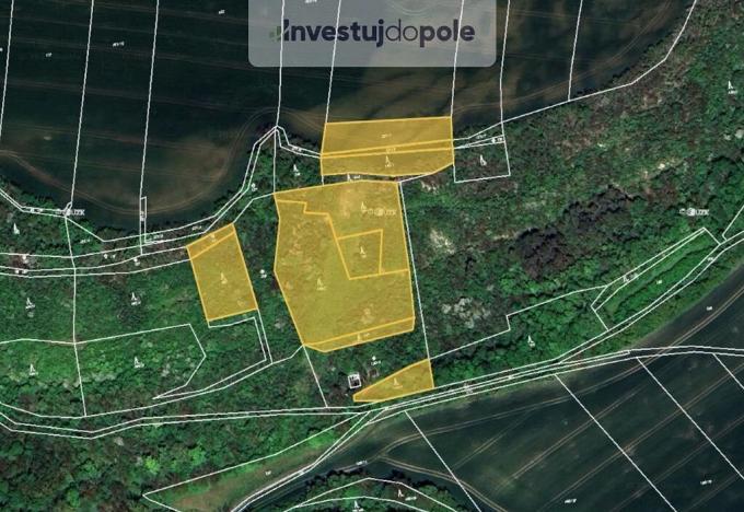 Prodej lesa, Budyně nad Ohří - Břežany nad Ohří, 3124 m2