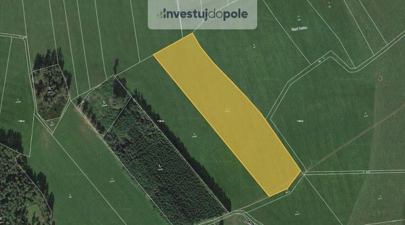 Prodej louky, Běhařov, 16236 m2