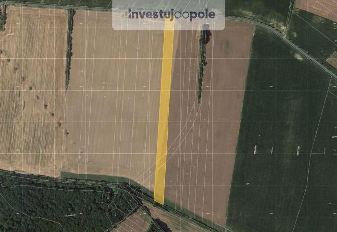 Prodej pole, Nová Telib, 16716 m2