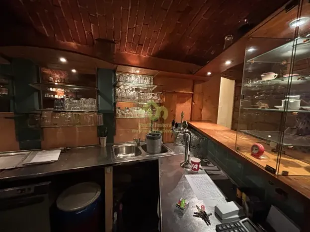 Pronájem restaurace, Plzeň, Lindauerova, 120 m2