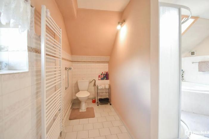 Prodej rodinného domu, Loučná nad Desnou, 190 m2