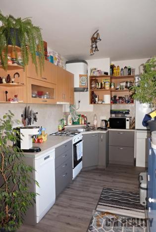 Prodej bytu 2+1, Prostějov, Rumunská, 50 m2
