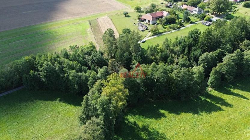 Prodej pozemku, Jeřišno, 2804 m2