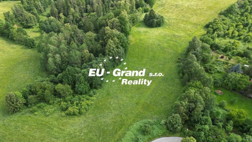 Prodej louky, Zákupy - Šidlov, 7471 m2