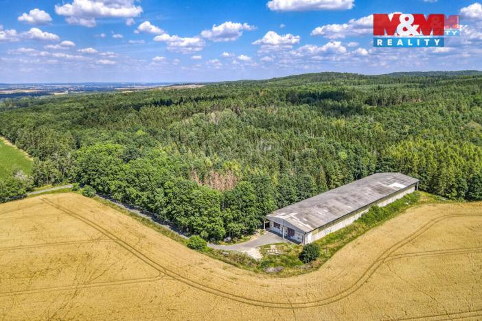 Pronájem výrobních prostor, Horní Lukavice, 100 m2