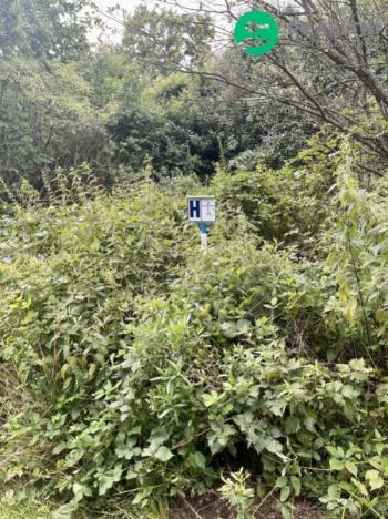 Prodej pozemku pro bydlení, Dívčí Hrad, 938 m2