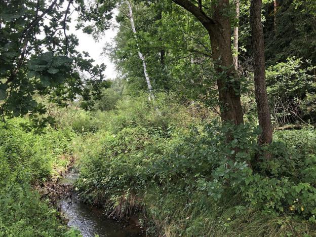 Prodej pole, Kaplice - Žďár, 2302 m2