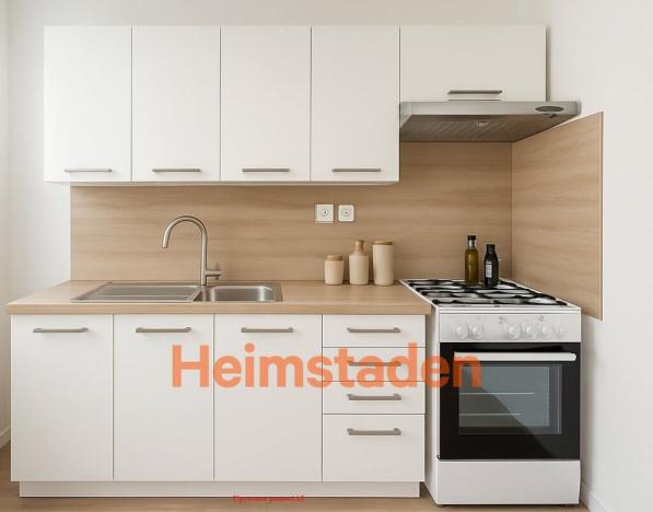 Pronájem bytu 1+1, Ostrava - Slezská Ostrava, Bernerova, 36 m2