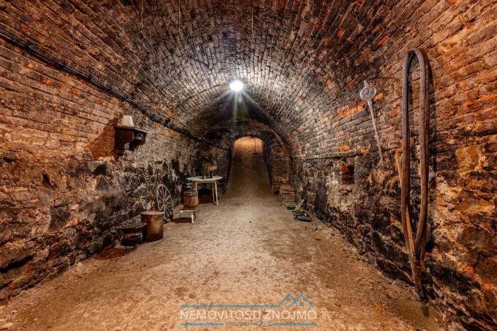 Prodej vinného sklepa, Strachotice, 227 m2