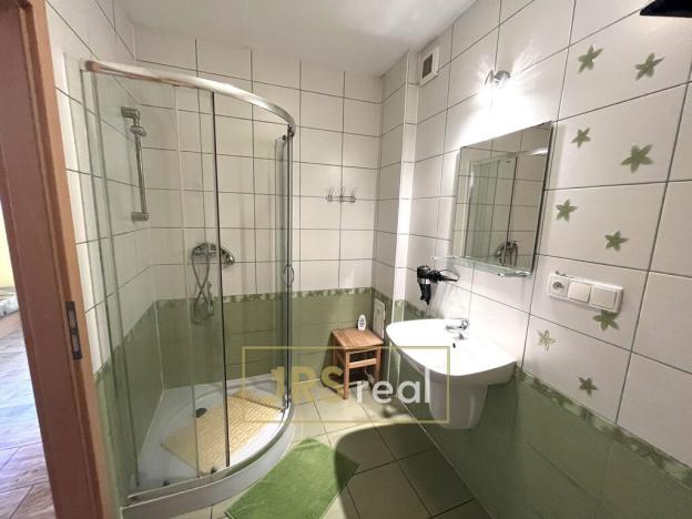 Prodej - jiné, Bořetice, 250 m2