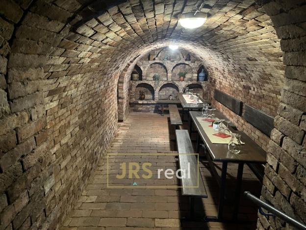 Prodej - jiné, Bořetice, 250 m2