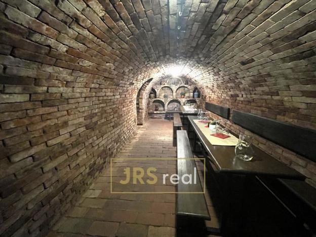 Prodej - jiné, Bořetice, 250 m2