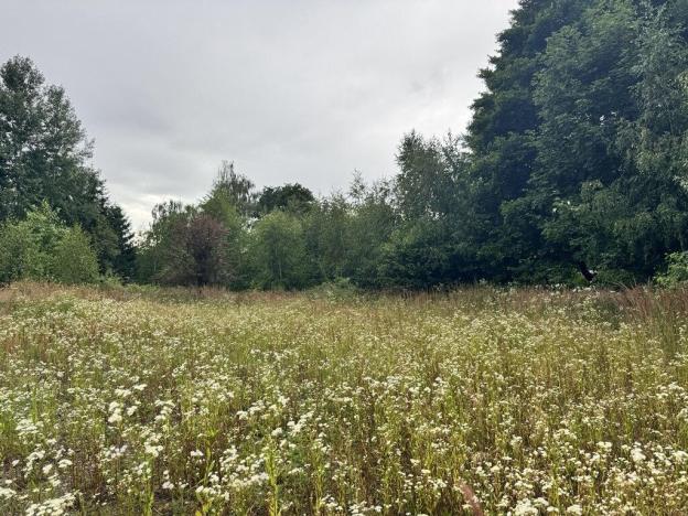 Prodej pozemku pro bydlení, Psáry, 10300 m2